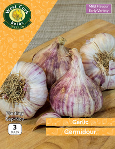 Garlic<p> Germidour</p> - Green's of Ireland Online Garden Shop.  Garlic and Onions, West Cork Bulbs, Daffodil Bulbs, Tulip Bulbs, Crocus Bulbs, Autumn Bulbs, Bulbs, Cheap Bulbs