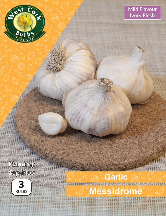 Garlic<p> Messidrome</p> - Green's of Ireland Online Garden Shop.  Garlic and Onions, West Cork Bulbs, Daffodil Bulbs, Tulip Bulbs, Crocus Bulbs, Autumn Bulbs, Bulbs, Cheap Bulbs