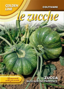 Pumpkin Muscade De Provence - Green's of Ireland Online Garden Shop.  Vegetable Seeds, Franchi, Daffodil Bulbs, Tulip Bulbs, Crocus Bulbs, Autumn Bulbs, Bulbs, Cheap Bulbs