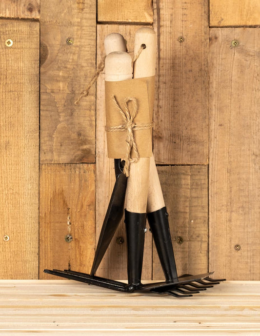 3pc gift set - Green's of Ireland Online Garden Shop.  Tools, Avergon, Daffodil Bulbs, Tulip Bulbs, Crocus Bulbs, Autumn Bulbs, Bulbs, Cheap Bulbs