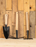 3pc gift set - Green's of Ireland Online Garden Shop.  Tools, Avergon, Daffodil Bulbs, Tulip Bulbs, Crocus Bulbs, Autumn Bulbs, Bulbs, Cheap Bulbs