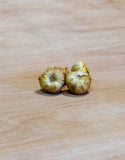 Gladioli Large Flowering  'Traderhorn' 10 Bulbs Pack - Green's of Ireland Online Garden Shop.  Flower Bulbs, Greens of Ireland, Daffodil Bulbs, Tulip Bulbs, Crocus Bulbs, Autumn Bulbs, Bulbs, Cheap Bulbs