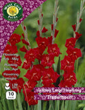 Gladioli Large Flowering  'Traderhorn' - Green's of Ireland Online Garden Shop.  Flower Bulbs, West Cork Bulbs, Daffodil Bulbs, Tulip Bulbs, Crocus Bulbs, Autumn Bulbs, Bulbs, Cheap Bulbs