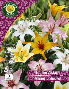 Lilium Asiatic Mixed - Green's of Ireland Online Garden Shop.  Flower Bulbs, West Cork Bulbs, Daffodil Bulbs, Tulip Bulbs, Crocus Bulbs, Autumn Bulbs, Bulbs, Cheap Bulbs