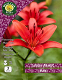 Lilium Asiatic Red - Green's of Ireland Online Garden Shop.  Flower Bulbs, West Cork Bulbs, Daffodil Bulbs, Tulip Bulbs, Crocus Bulbs, Autumn Bulbs, Bulbs, Cheap Bulbs