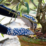 Gloves "Lucy" - Green's of Ireland Online Garden Shop.  Gloves, BlackFox, Daffodil Bulbs, Tulip Bulbs, Crocus Bulbs, Autumn Bulbs, Bulbs, Cheap Bulbs