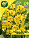 Jonquilles <p> Red Devon </p>