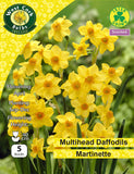 Jonquilles <p> Red Devon </p>