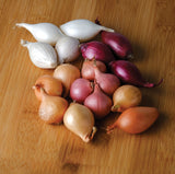 Onion Sets <p>Mixed <p>75 Bulbs Pack</p> - Green's of Ireland Online Garden Shop.  Onion Sets, West Cork Bulbs, Daffodil Bulbs, Tulip Bulbs, Crocus Bulbs, Autumn Bulbs, Bulbs, Cheap Bulbs