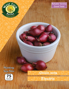 Onion sets <p> Electic</p> - Green's of Ireland Online Garden Shop.  Garlic and Onions, West Cork Bulbs, Daffodil Bulbs, Tulip Bulbs, Crocus Bulbs, Autumn Bulbs, Bulbs, Cheap Bulbs