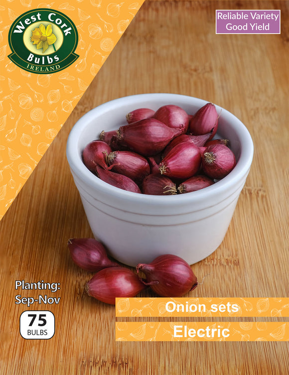 Onion sets <p> Electic</p> - Green's of Ireland Online Garden Shop.  Garlic and Onions, West Cork Bulbs, Daffodil Bulbs, Tulip Bulbs, Crocus Bulbs, Autumn Bulbs, Bulbs, Cheap Bulbs