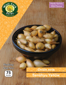 Onion sets <p> Senshyu Yellow</p> - Green's of Ireland Online Garden Shop.  Garlic and Onions, West Cork Bulbs, Daffodil Bulbs, Tulip Bulbs, Crocus Bulbs, Autumn Bulbs, Bulbs, Cheap Bulbs