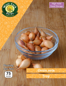 Onion sets <p> Troy</p> - Green's of Ireland Online Garden Shop.  Garlic and Onions, West Cork Bulbs, Daffodil Bulbs, Tulip Bulbs, Crocus Bulbs, Autumn Bulbs, Bulbs, Cheap Bulbs