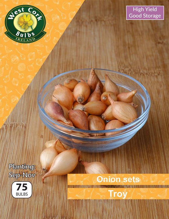 Onion sets <p> Troy</p> - Green's of Ireland Online Garden Shop.  Garlic and Onions, West Cork Bulbs, Daffodil Bulbs, Tulip Bulbs, Crocus Bulbs, Autumn Bulbs, Bulbs, Cheap Bulbs