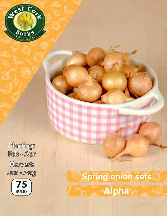 Spring Onion Sets Alpha