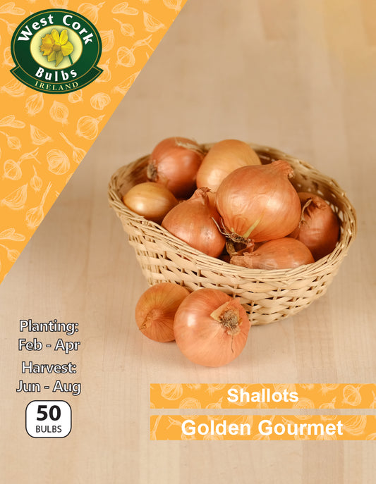 Shallots Golden Gourmet - Green's of Ireland Online Garden Shop.  Shallots, West Cork Bulbs, Daffodil Bulbs, Tulip Bulbs, Crocus Bulbs, Autumn Bulbs, Bulbs, Cheap Bulbs