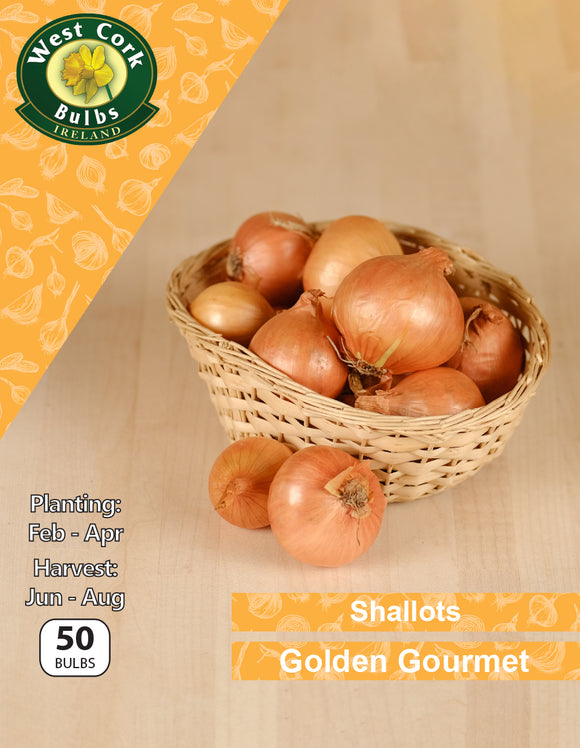 Shallots Golden Gourmet - Green's of Ireland Online Garden Shop.  Shallots, West Cork Bulbs, Daffodil Bulbs, Tulip Bulbs, Crocus Bulbs, Autumn Bulbs, Bulbs, Cheap Bulbs