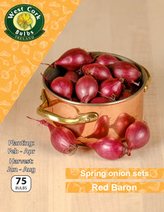 Spring Onion Sets Red Baron - Green's of Ireland Online Garden Shop.  Onion Sets, West Cork Bulbs, Daffodil Bulbs, Tulip Bulbs, Crocus Bulbs, Autumn Bulbs, Bulbs, Cheap Bulbs