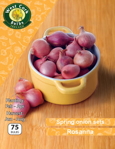 Spring Onion Sets Rosanna - Green's of Ireland Online Garden Shop.  Onion Sets, West Cork Bulbs, Daffodil Bulbs, Tulip Bulbs, Crocus Bulbs, Autumn Bulbs, Bulbs, Cheap Bulbs