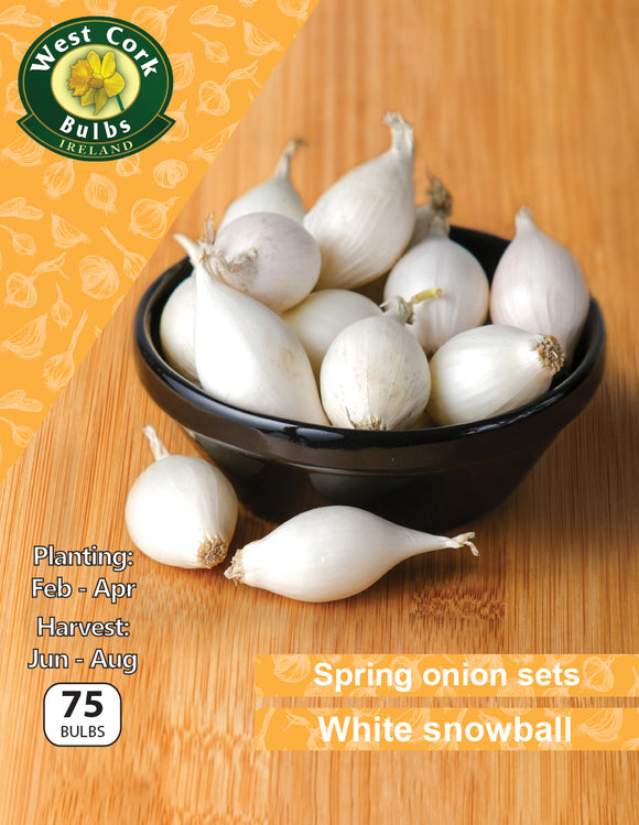 Spring Onion Sets White Snowball - Green's of Ireland Online Garden Shop.  Onion Sets, West Cork Bulbs, Daffodil Bulbs, Tulip Bulbs, Crocus Bulbs, Autumn Bulbs, Bulbs, Cheap Bulbs