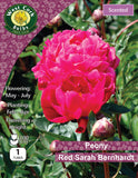 Bare root peonies Red Sarah Bernard - Green's of Ireland Online Garden Shop.  Peonies, West Cork Bulbs, Daffodil Bulbs, Tulip Bulbs, Crocus Bulbs, Autumn Bulbs, Bulbs, Cheap Bulbs