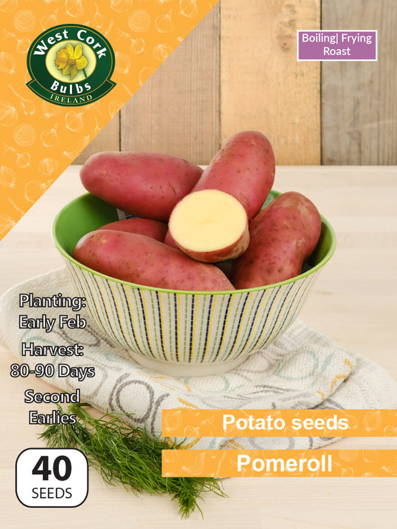 Potato seeds 'Pomeroll'