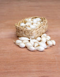 Onion Sets <p>White Snowball <p>75 Bulbs Pack</p> - Green's of Ireland Online Garden Shop.  Onion Sets, West Cork Bulbs, Daffodil Bulbs, Tulip Bulbs, Crocus Bulbs, Autumn Bulbs, Bulbs, Cheap Bulbs