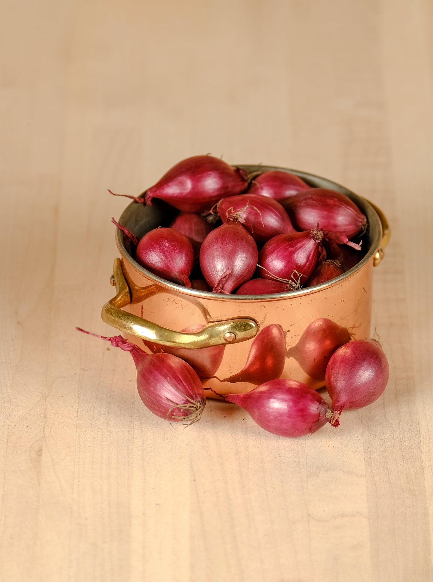 Spring Onion Sets Red Baron - Green's of Ireland Online Garden Shop.  Onion Sets, West Cork Bulbs, Daffodil Bulbs, Tulip Bulbs, Crocus Bulbs, Autumn Bulbs, Bulbs, Cheap Bulbs