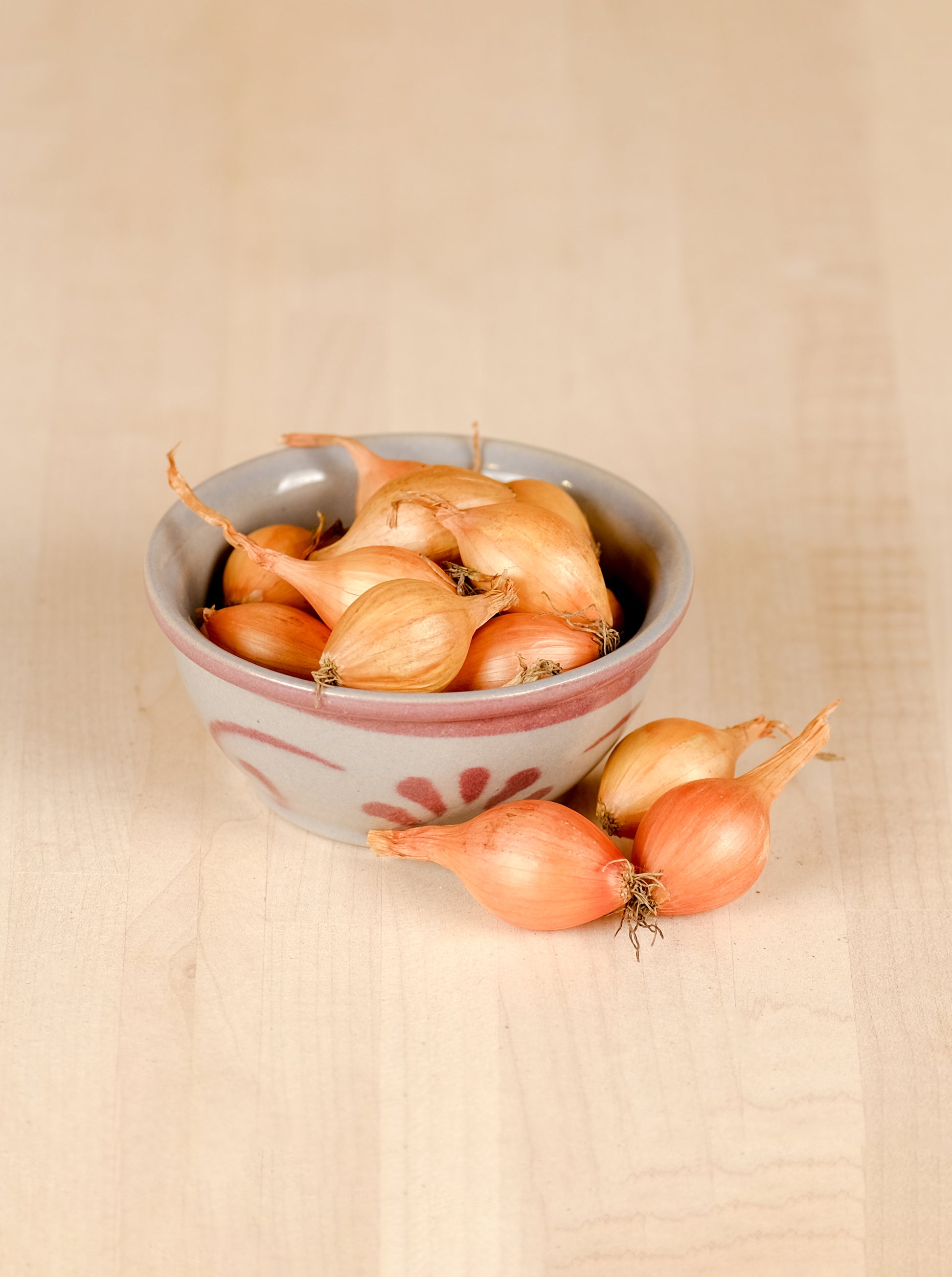 Spring Onion Sets Sturon - Green's of Ireland Online Garden Shop.  Onion Sets, West Cork Bulbs, Daffodil Bulbs, Tulip Bulbs, Crocus Bulbs, Autumn Bulbs, Bulbs, Cheap Bulbs