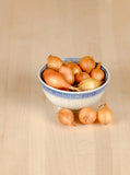 Spring Onion Sets Stuttgarter - Green's of Ireland Online Garden Shop.  Onion Sets, West Cork Bulbs, Daffodil Bulbs, Tulip Bulbs, Crocus Bulbs, Autumn Bulbs, Bulbs, Cheap Bulbs