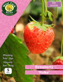 Strawberry "Polka" 5 roots
