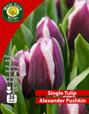 Single Tulip Alexander Pushkin - Green's of Ireland Online Garden Shop. Tulips, West Cork Bulbs