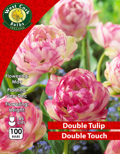 Double Tulip Double Touch - Green's of Ireland Online Garden Shop. Tulips, West Cork Bulbs, Daffodil Bulbs, Tulip Bulbs, Crocus Bulbs, Autumn Bulbs, Bulbs, Cheap Bulbs