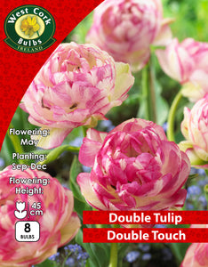 Double Tulip Double Touch - Green's of Ireland Online Garden Shop. Tulips, West Cork Bulbs, Daffodil Bulbs, Tulip Bulbs, Crocus Bulbs, Autumn Bulbs, Bulbs, Cheap Bulbs