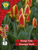 Dwarf Tulip Giuseppe Verdi - Green's of Ireland Online Garden Shop. Tulips, West Cork Bulbs, Daffodil Bulbs, Tulip Bulbs, Crocus Bulbs, Autumn Bulbs, Bulbs, Cheap Bulbs