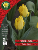 Dwarf Tulip Gold West - Green's of Ireland Online Garden Shop. Tulips, West Cork Bulbs, Daffodil Bulbs, Tulip Bulbs, Crocus Bulbs, Autumn Bulbs, Bulbs, Cheap Bulbs