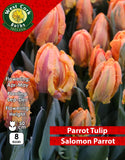 Parrot Tulip Salmon Parrot - Green's of Ireland Online Garden Shop. Tulips, West Cork Bulbs, Daffodil Bulbs, Tulip Bulbs, Crocus Bulbs, Autumn Bulbs, Bulbs, Cheap Bulbs
