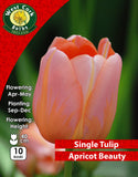 Single Tulip Apricot Beauty - Green's of Ireland Online Garden Shop. Tulips, West Cork Bulbs, Daffodil Bulbs, Tulip Bulbs, Crocus Bulbs, Autumn Bulbs, Bulbs, Cheap Bulbs