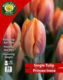 Single Tulip Prinses Irene - Green's of Ireland Online Garden Shop. Tulips, West Cork Bulbs, Daffodil Bulbs, Tulip Bulbs, Crocus Bulbs, Autumn Bulbs, Bulbs, Cheap Bulbs