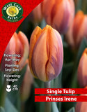 Single Tulip Prinses Irene - Green's of Ireland Online Garden Shop. Tulips, West Cork Bulbs, Daffodil Bulbs, Tulip Bulbs, Crocus Bulbs, Autumn Bulbs, Bulbs, Cheap Bulbs