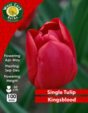 Single Tulip Kingsblood - Green's of Ireland Online Garden Shop. Tulips, West Cork Bulbs, Daffodil Bulbs, Tulip Bulbs, Crocus Bulbs, Autumn Bulbs, Bulbs, Cheap Bulbs