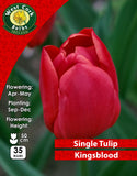 Single Tulip Kingsblood - Green's of Ireland Online Garden Shop. Tulips, West Cork Bulbs, Daffodil Bulbs, Tulip Bulbs, Crocus Bulbs, Autumn Bulbs, Bulbs, Cheap Bulbs