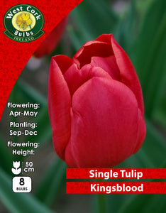 Single Tulip Kingsblood - Green's of Ireland Online Garden Shop. Tulips, West Cork Bulbs, Daffodil Bulbs, Tulip Bulbs, Crocus Bulbs, Autumn Bulbs, Bulbs, Cheap Bulbs