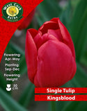 Single Tulip Kingsblood - Green's of Ireland Online Garden Shop. Tulips, West Cork Bulbs, Daffodil Bulbs, Tulip Bulbs, Crocus Bulbs, Autumn Bulbs, Bulbs, Cheap Bulbs