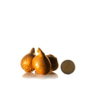 Single Tulip Apeldoorn - Green's of Ireland Online Garden Shop.  Tulips, West Cork Bulbs, Daffodil Bulbs, Tulip Bulbs, Crocus Bulbs, Autumn Bulbs, Bulbs, Cheap Bulbs