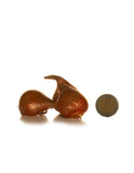 Single Tulip Golden Apeldoorn - Green's of Ireland Online Garden Shop.  Tulips, West Cork Bulbs, Daffodil Bulbs, Tulip Bulbs, Crocus Bulbs, Autumn Bulbs, Bulbs, Cheap Bulbs