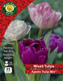 Apollo Tulip Mix