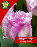 Single Tulip Fancy Frills - Green's of Ireland Online Garden Shop. Tulips, West Cork Bulbs, Daffodil Bulbs, Tulip Bulbs, Crocus Bulbs, Autumn Bulbs, Bulbs, Cheap Bulbs