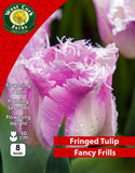 Single Tulip Fancy Frills - Green's of Ireland Online Garden Shop. Tulips, West Cork Bulbs, Daffodil Bulbs, Tulip Bulbs, Crocus Bulbs, Autumn Bulbs, Bulbs, Cheap Bulbs