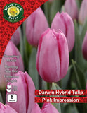 Single Tulip Pink Impression - Green's of Ireland Online Garden Shop. Tulips, West Cork Bulbs, Daffodil Bulbs, Tulip Bulbs, Crocus Bulbs, Autumn Bulbs, Bulbs, Cheap Bulbs